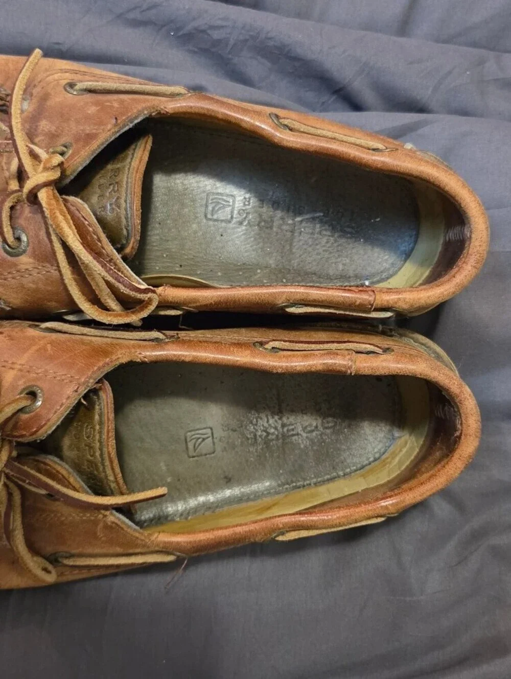 Sperry classics they